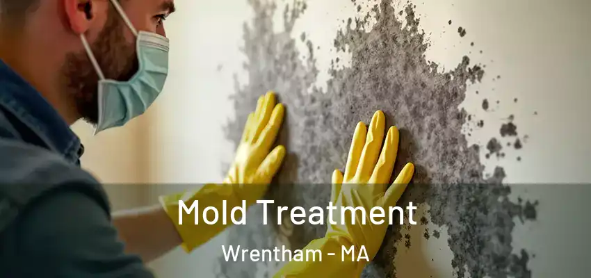 Mold Treatment Wrentham - MA