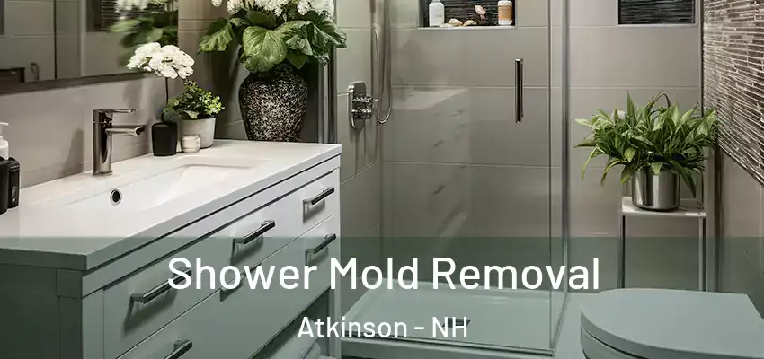  Shower Mold Removal Atkinson - NH