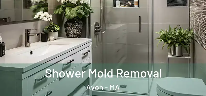  Shower Mold Removal Avon - MA