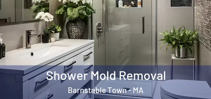 Shower Mold Removal Barnstable Town - MA