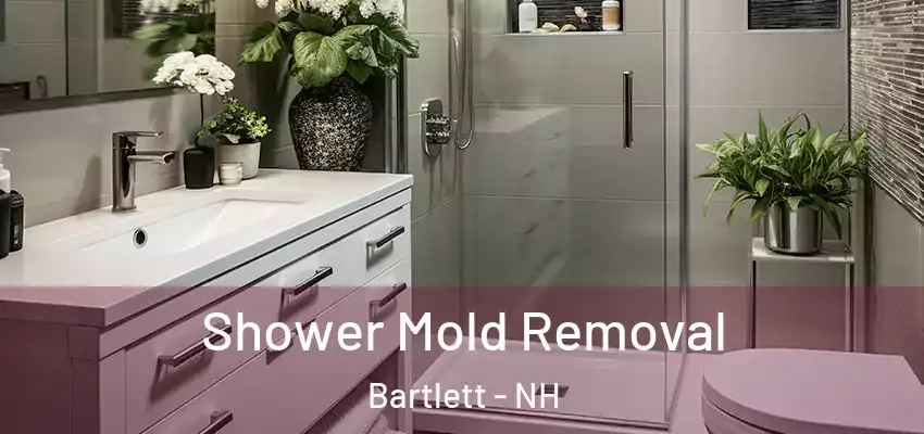Shower Mold Removal Bartlett - NH