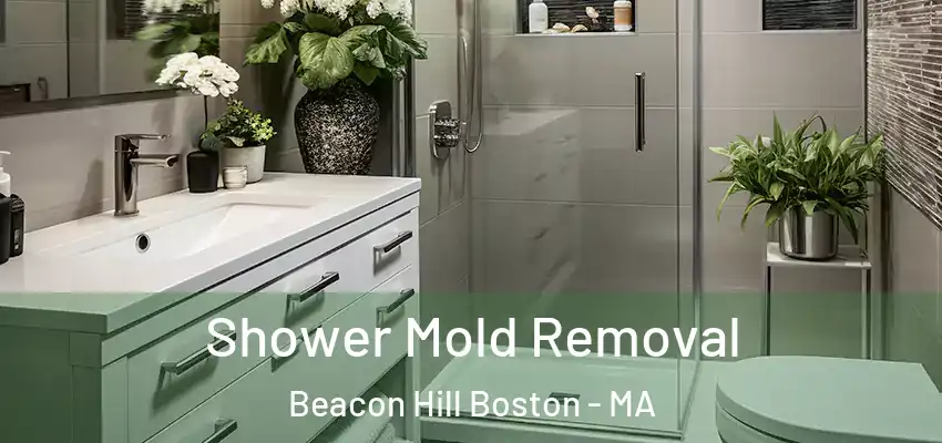  Shower Mold Removal Beacon Hill Boston - MA
