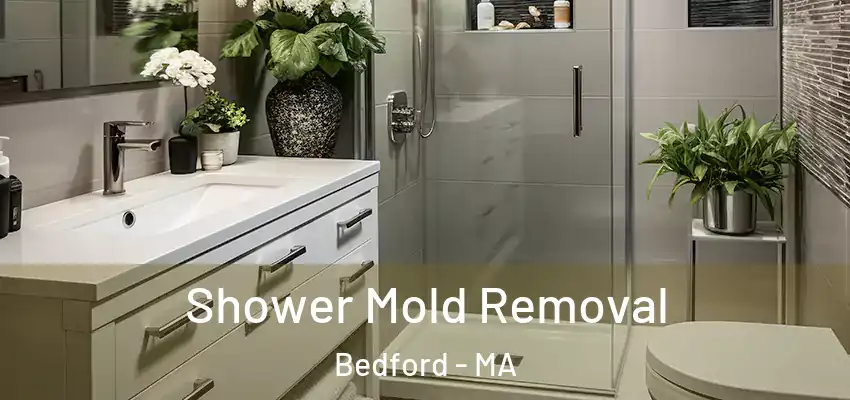 Shower Mold Removal Bedford - MA