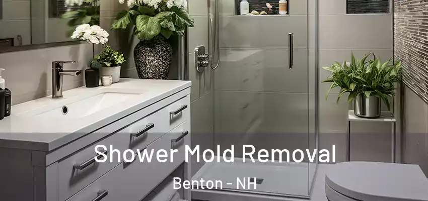 Shower Mold Removal Benton - NH