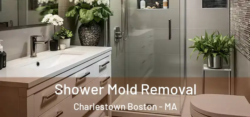  Shower Mold Removal Charlestown Boston - MA