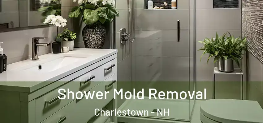  Shower Mold Removal Charlestown - NH