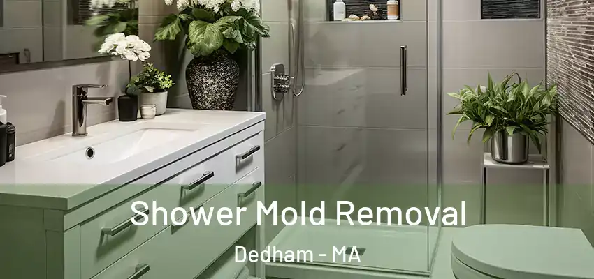 Shower Mold Removal Dedham - MA