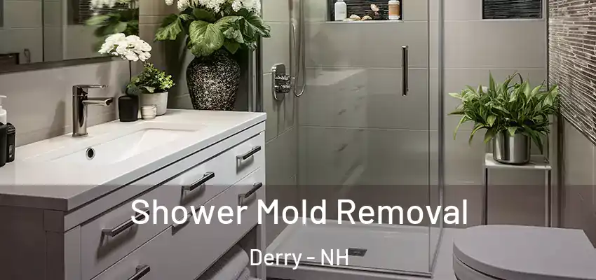 Shower Mold Removal Derry - NH