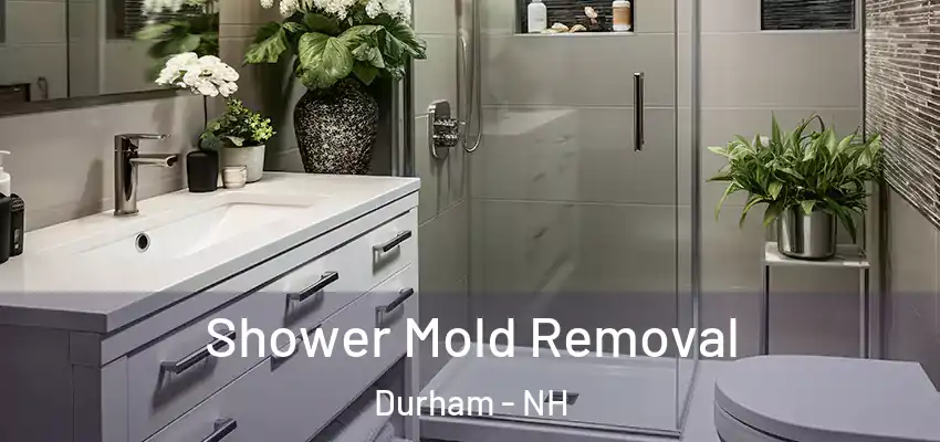 Shower Mold Removal Durham - NH