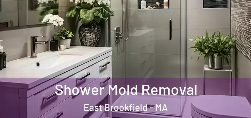  Shower Mold Removal East Brookfield - MA