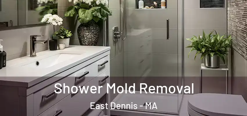 Shower Mold Removal East Dennis - MA