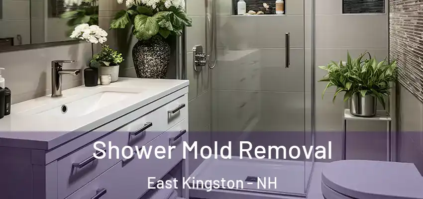  Shower Mold Removal East Kingston - NH