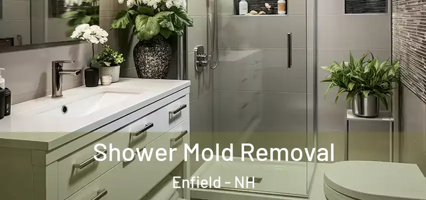Shower Mold Removal Enfield - NH