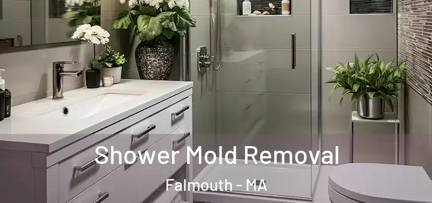  Shower Mold Removal Falmouth - MA