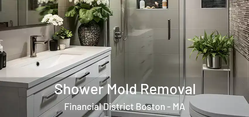  Shower Mold Removal Financial District Boston - MA