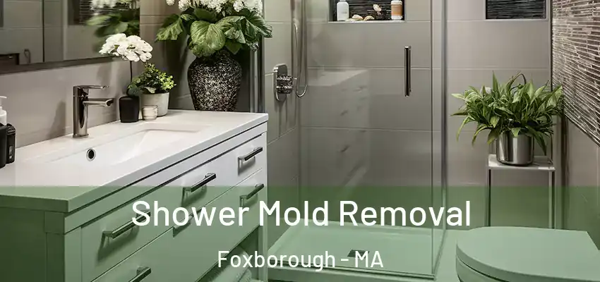  Shower Mold Removal Foxborough - MA
