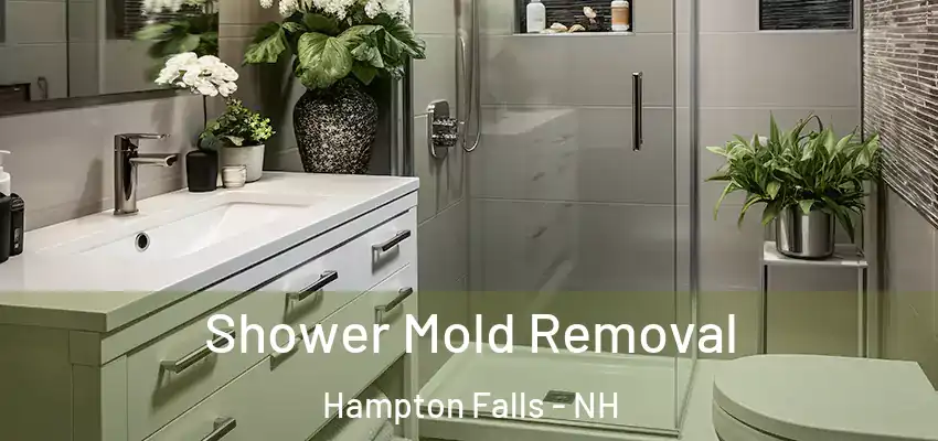 Shower Mold Removal Hampton Falls - NH