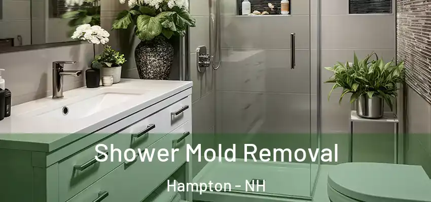  Shower Mold Removal Hampton - NH