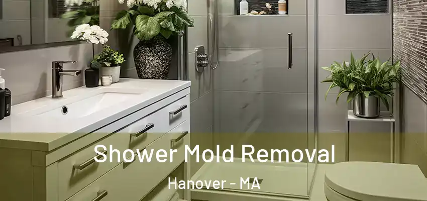 Shower Mold Removal Hanover - MA