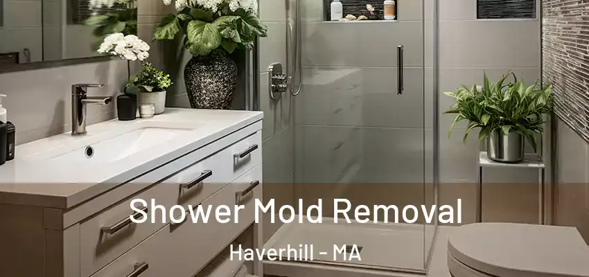 Shower Mold Removal Haverhill - MA