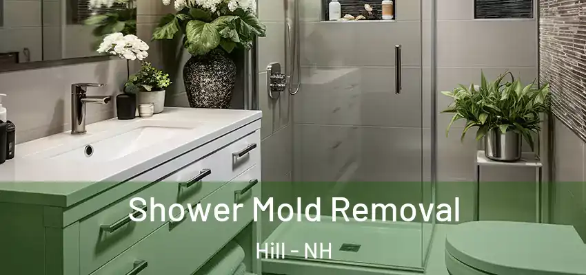  Shower Mold Removal Hill - NH