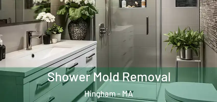 Shower Mold Removal Hingham - MA
