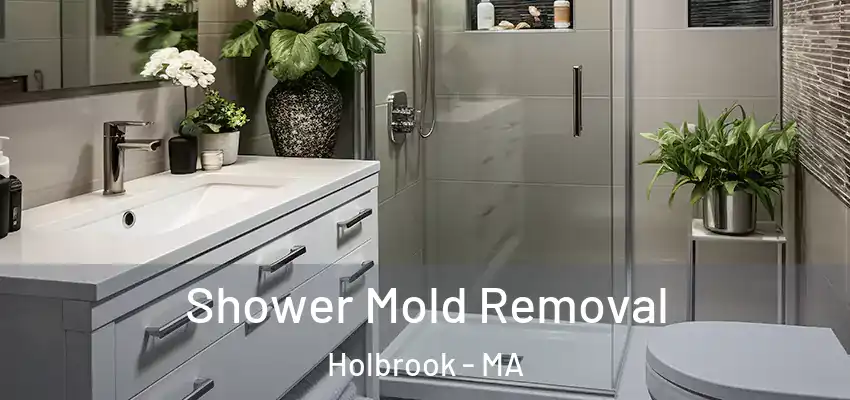 Shower Mold Removal Holbrook - MA