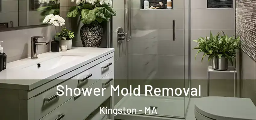 Shower Mold Removal Kingston - MA