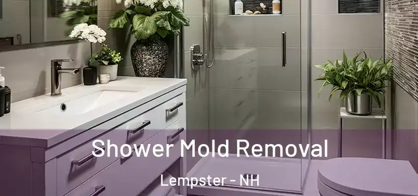 Shower Mold Removal Lempster - NH