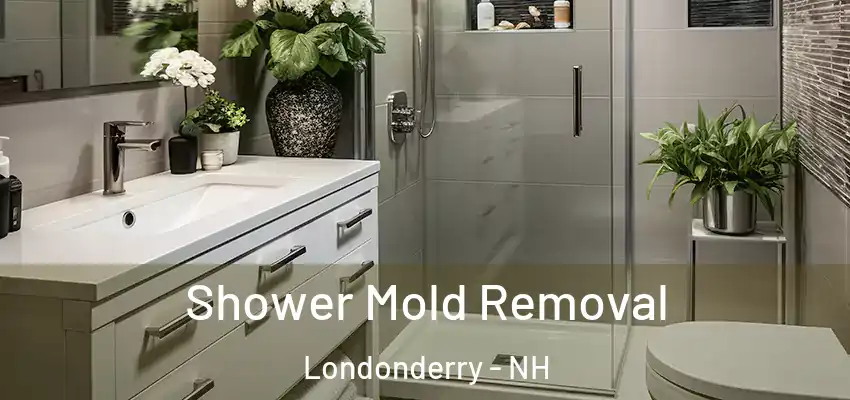  Shower Mold Removal Londonderry - NH