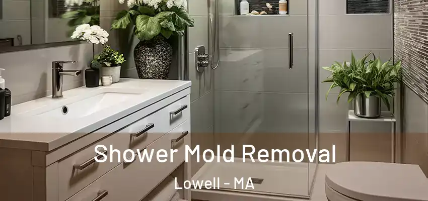 Shower Mold Removal Lowell - MA