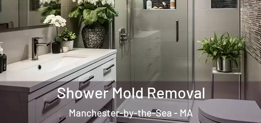 Shower Mold Removal Manchester-by-the-Sea - MA