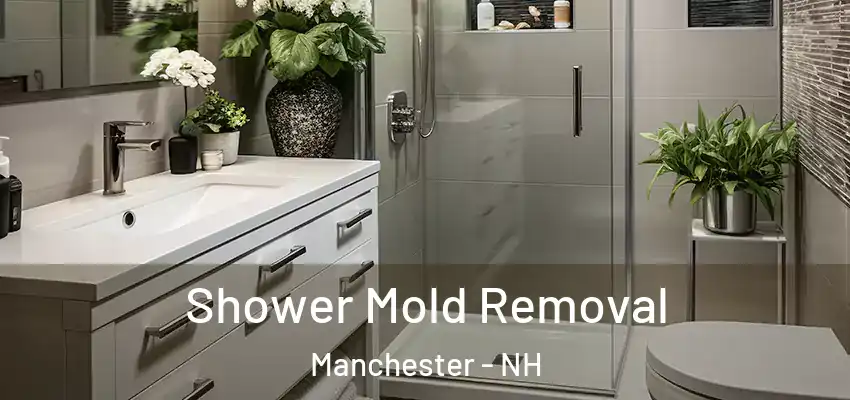  Shower Mold Removal Manchester - NH