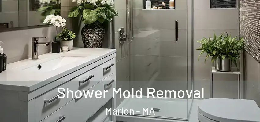 Shower Mold Removal Marion - MA
