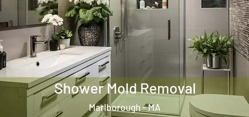 Shower Mold Removal Marlborough - MA
