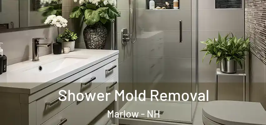 Shower Mold Removal Marlow - NH