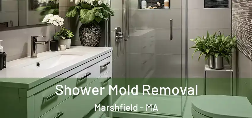 Shower Mold Removal Marshfield - MA