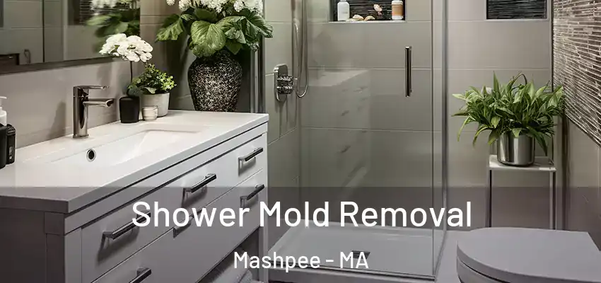 Shower Mold Removal Mashpee - MA