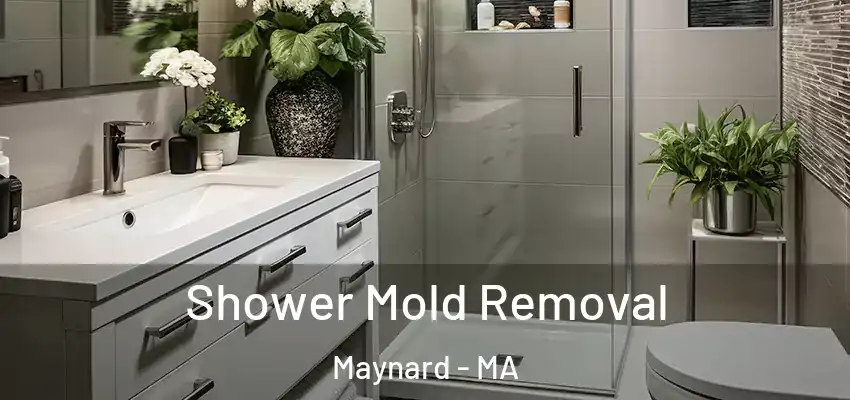 Shower Mold Removal Maynard - MA