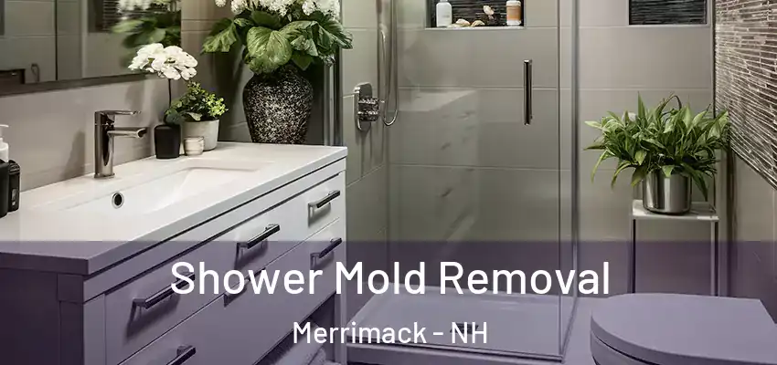  Shower Mold Removal Merrimack - NH