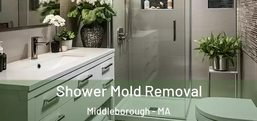  Shower Mold Removal Middleborough - MA
