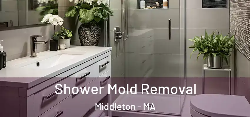 Shower Mold Removal Middleton - MA