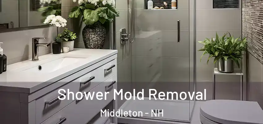  Shower Mold Removal Middleton - NH