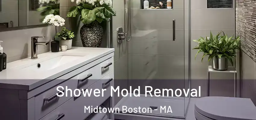 Shower Mold Removal Midtown Boston - MA