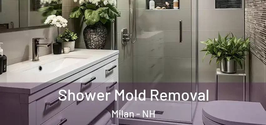 Shower Mold Removal Milan - NH