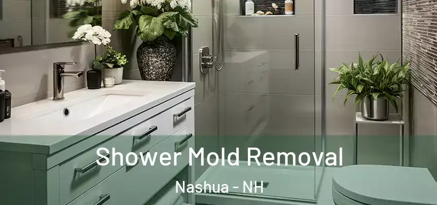  Shower Mold Removal Nashua - NH