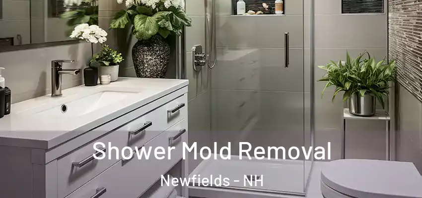 Shower Mold Removal Newfields - NH