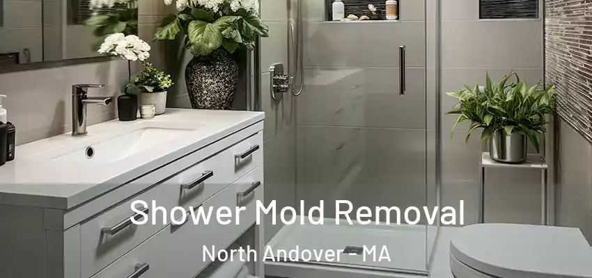 Shower Mold Removal North Andover - MA