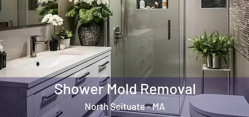 Shower Mold Removal North Scituate - MA