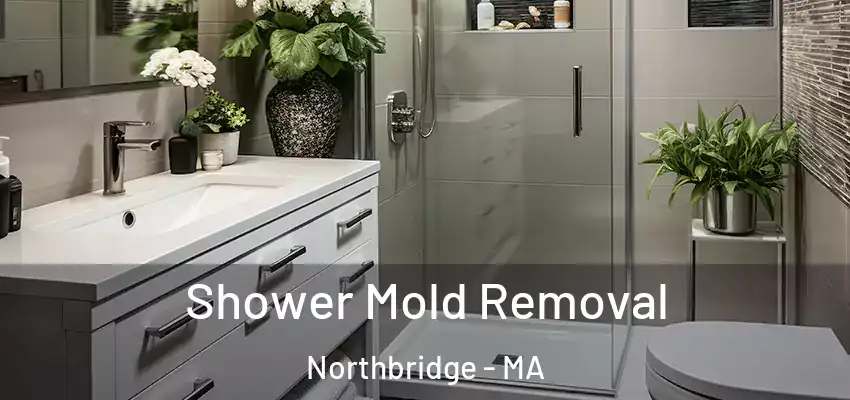 Shower Mold Removal Northbridge - MA